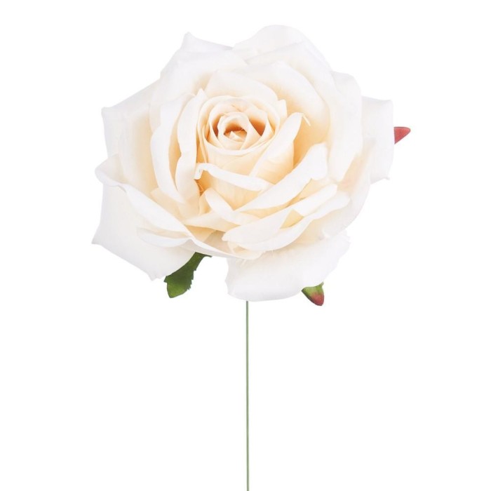 PICK ROSA ELEONORE CREMA D15 H